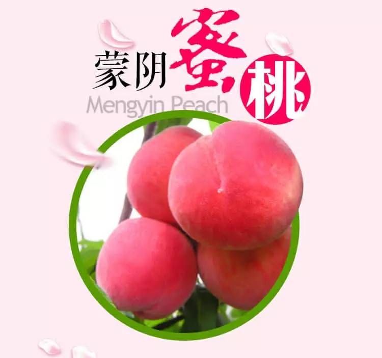 藏在沂蒙山深处的蜜桃秘境——为何中国最好的桃子你不一定吃过？