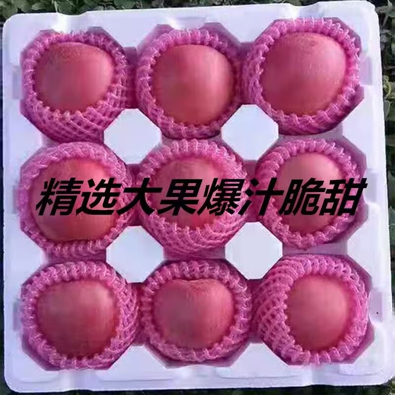 红富士