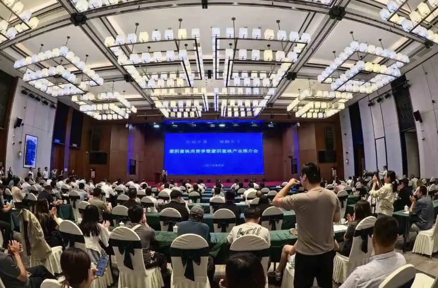 蒙阴蜜桃产业推介会圆满落幕 全国百家客商共品'桃醉天下