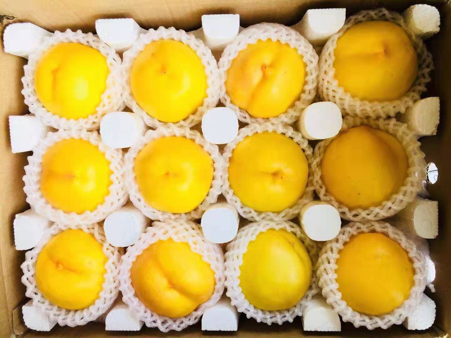 黄油桃