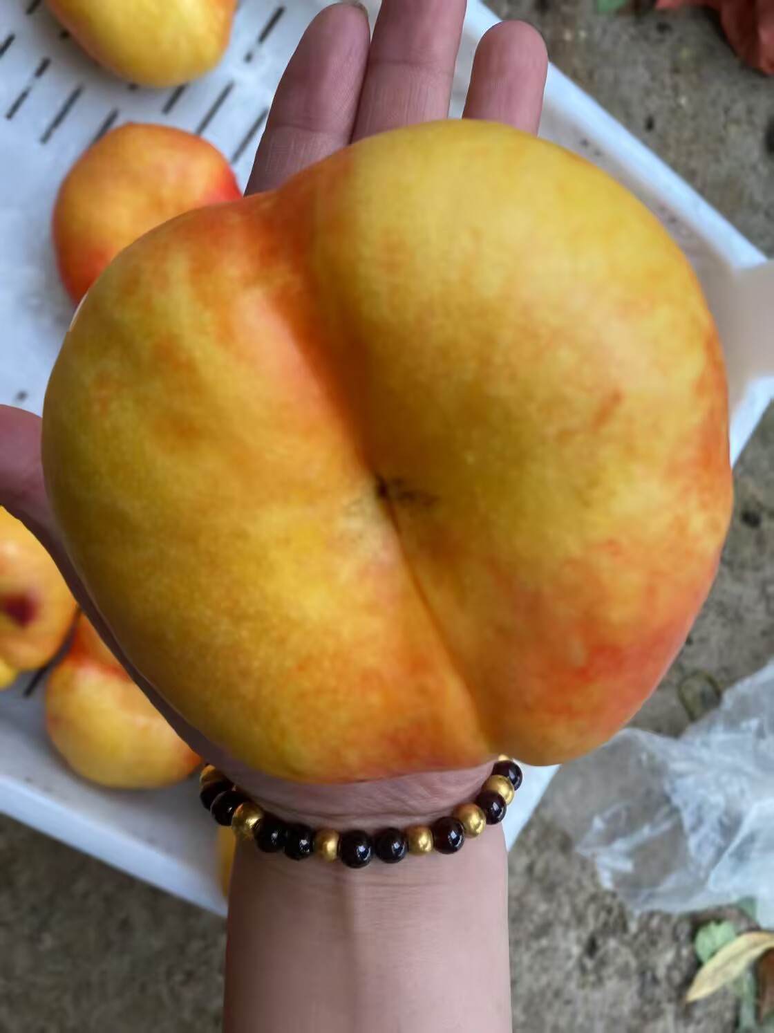 黄蟠桃