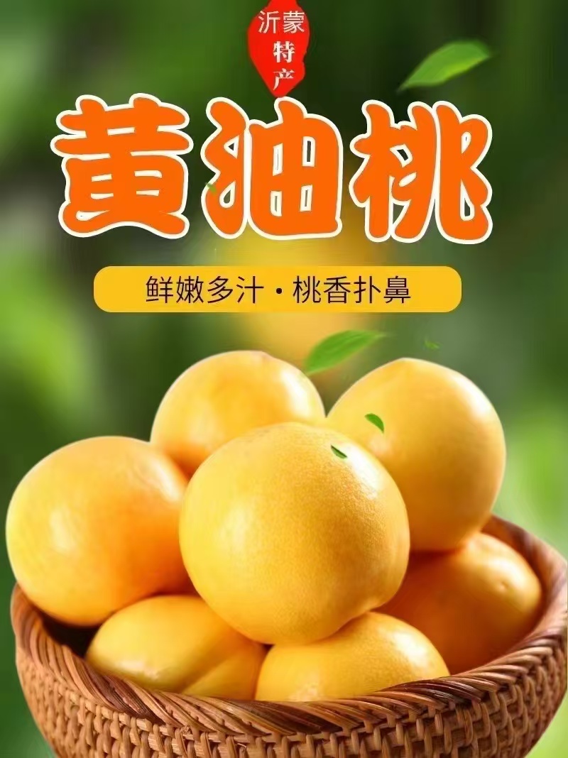 蒙阴聚隆果蔬专业合作社成立于2019年