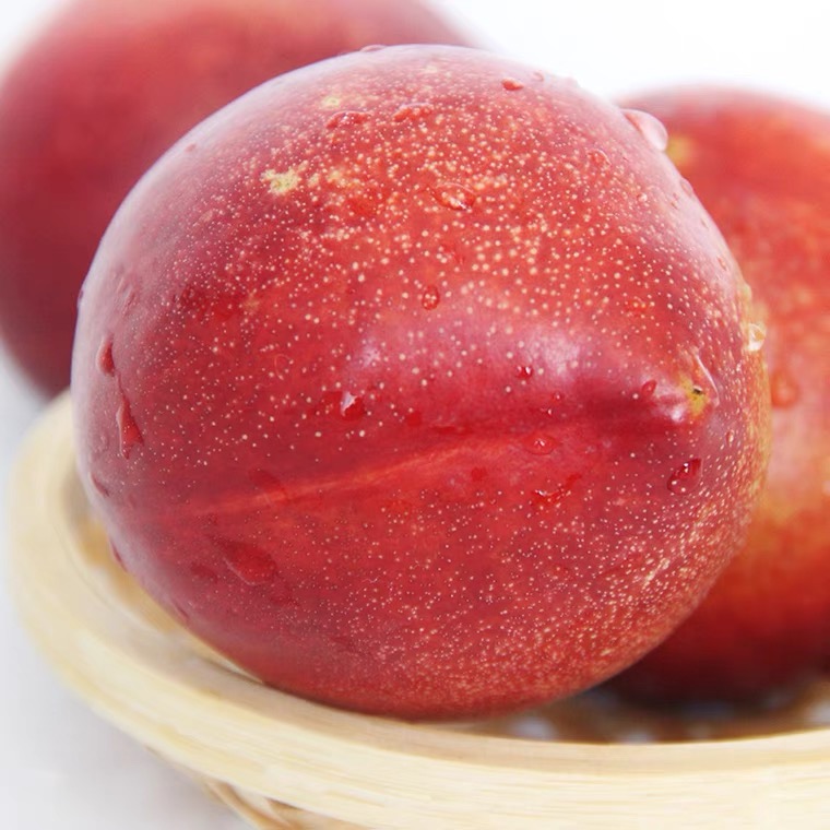 蒙阴红油桃：美味与健康的完美结合 🍑