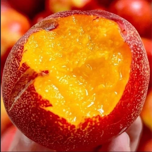 蒙阴蜜桃：一口咬下鲁中山水的甜