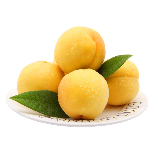 黄金蜜意：蒙阴黄油桃的味觉传奇