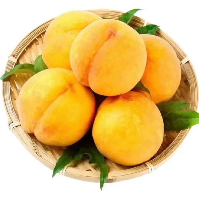 蒙阴蜜桃品种全攻略：从早熟到极晚熟的甜蜜盛宴